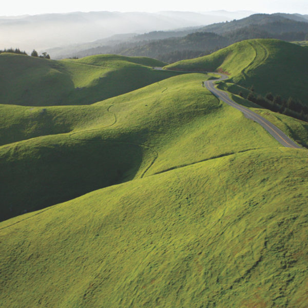 Marin Hillside