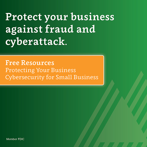 free fraud guide and free cybersecurity guide
